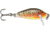 Rapala CountDown 01 Lure, Brown Trout, CD01TR
