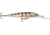 Rapala Down Deep Husky Jerk 10 Lure, Glass Perch, DHJ10GP