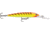 Rapala Down Deep Husky Jerk 10 Lure, Hot Tiger, DHJ10HT