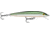 Rapala Husky Jerk 06 Lure, Tennessee Shad, HJ06TSD