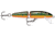 Rapala Jointed 07 Lure, Brook Trout, J07BTR