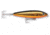 Rapala Saltwater Skitter Walk Topwater Lure, Floating, Gold Mullet, 5/8oz, 4 3/8in, SSW11GMU