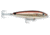 Rapala Saltwater Skitter Walk Topwater Lure, Floating, Redfish, 5/8oz, 4 3/8in, SSW11RF
