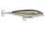 Rapala Saltwater Skitter Walk Topwater Lure, Floating, Speckled Trout, 5/8oz, 4 3/8in, SSW11ST