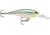 Rapala Shad Rap Crankbait 2 3/4in, 5/16 oz, Floating, Blue Back Herring, SR07BBH