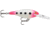 Rapala Shad Rap 07 Lure, Glow Pink Squirrel, SR07GPSQ