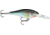 Rapala Shad Rap Crankbait 2 3/4in, 5/16 oz, Floating, Holographic Shiner, SR07HSH