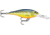 Rapala Shad Rap 07 Lure, Hot Steel, SR07HS