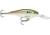 Rapala Shad Rap 07 Lure, Live River Shad, SR07RSL