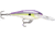 Rapala Shad Rap Crankbait 2 3/4in, 5/16 oz, Floating, Regal Shad, SR07RSD