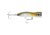 Rapala X-Rap Magnum Xplode 170 - AYU, XRMAGXP170AYU
