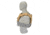 Raptor Tactical GHOST MK1 Plate Carrier, MOLLE/Velcro, Medium, Coyote Brown, RT-GHOST1-CB-M