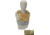 Raptor Tactical GHOST MK1 Plate Carrier, MOLLE/Velcro, Large, Kryptek Mandrake, RT-GHOST1-KM-L