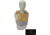 Raptor Tactical GHOST MK1 Plate Carrier, MOLLE/Velcro, Large, MultiCam Black, RT-GHOST1-MCB-L