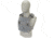 Raptor Tactical GHOST MK1 Plate Carrier, MOLLE/Velcro, Medium, Tactical Grey, RT-GHOST1-TG-M