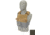 Raptor Tactical GHOST MK2 Plate Carrier, MOLLE/Velcro, Medium, Ranger Green, RT-GHOST2-RG-M