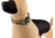 Raptor Tactical K9 Odin Collar, Multicam, K9OC-MC-45D