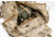 Raptor Tactical Marvn Tactical Rucksack, Multicam, MAR-MC