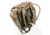 Raptor Tactical Marvn Tactical Rucksack, Multicam, MAR-MC