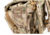 Raptor Tactical Marvn Tactical Rucksack, Multicam, MAR-MC