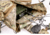 Raptor Tactical Marvn Tactical Rucksack, Multicam, MAR-MC