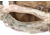 Raptor Tactical Micro Hand Warmer, Multicam, MICRO-MC