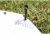 Raptor Tactical Nail Vibra Stakes, Black, RT-NVST