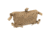 Raptor Tactical Ranger Kalice Pouch, Coyote Brown, one size, KA-CB