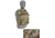 Raptor Tactical THOR Plate Carrier, Kryptek Highlander, Large, RT-THOR-KH-L