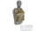 Raptor Tactical THOR Plate Carrier, Multicam Alpine, Medium, RT-THOR-MCA-M