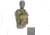 Raptor Tactical THOR Plate Carrier, Tactical Grey, Medium, RT-THOR-TG-M