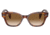 Ray-Ban RB0880S Sunglasses, Striped Havana Frame, Clear Gradient Brown Lens, 49, RB0880S-954-51-49