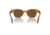 Ray-Ban RB0880S Sunglasses, Transparent Brown Frame, Brown Polarized Lens, 49, RB0880S-664057-49