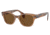 Ray-Ban RB0880S Sunglasses, Transparent Brown Frame, Brown Polarized Lens, 49, RB0880S-664057-49
