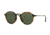 Ray-Ban RB2447F Sunglasses 1157-49 - Spotted Black Havana Frame, Green Lenses