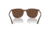 Ray-Ban RB4386F Sunglasses, Transparent Brown Frame, Polarized Brown Lens, Asian Fit, 55, RB4386F-6652AN-55