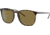 Ray-Ban RB4387 Sunglasses 710/73-56 - Havana Frame, Dark Brown Lenses