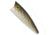 Rebel Lures Rebel Pop-R Topwater Bait, 2 1/2in, 1/4 oz, Floating, Tennessee Shad, P6048