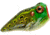 Rebel Lures Rebel PopN Frog Topwater Bait, 1 7/8in, 3/16 oz, Floating, Bullfrog, P20513