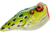 Rebel Lures Rebel PopN Frog Topwater Bait, 1 7/8in, 3/16 oz, Floating, Leopard Frog, P20511