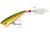Rebel Lures Rebel Teeny Pop-R Topwater Bait, 2in, 1/8oz, Floating, Tennessee Shad, P5048