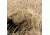 Red Rock Outdoor Gear Ghillie Blind Camouflage Netting - 4ft x 8ft Desert, Desert, One-Size 70986