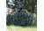 Red Rock Outdoor Gear Ghillie Blind Camouflage Netting - 4ft x 8ft Woodland, Woodland, One-Size 70985