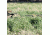 Red Rock Outdoor Gear Ghillie Blind Camouflage Netting - 4ft x 8ft Woodland, Woodland, One-Size 70985