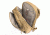 Red Rock Outdoor Gear mavriK S.08 - Coyote, One-Size 80-SO8COY