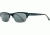 Reptile Sun Agamid Sunglasses, Black/Matte Crystal Frame, Titanium Black/Glass Lens, Polarized, AGABBM