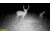 Reveal by Tactacam Tactacam Reveal X Gen 2.0 Hunting Camera, Gray, Medium, TA-TC-XG2