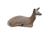 Rinehart Bedded Doe Decoy, Brown, 47211