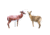 Rinehart Decoy Combo Buck and Doe, Brown 1001348