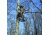 Rivers Edge Treestands 1-Man XL Ladder Stand, Black RE648